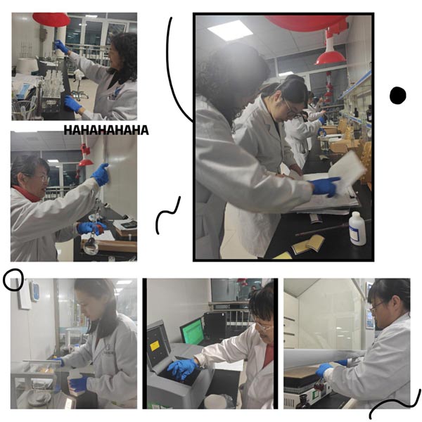 公司全力以赴迎接CMA资质认定扩项评审