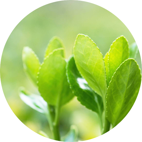 端午佳节至，千里送祝福！